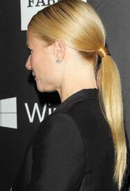 gpaltrow291014BZNImage013.jpg