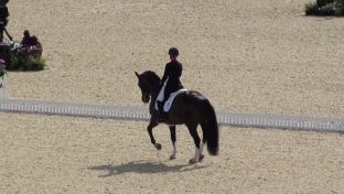 BvOxDZN.gif