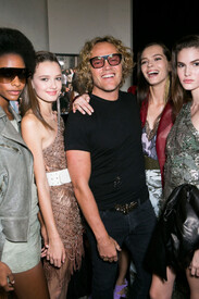 cavalli_van11.jpg