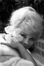 Elke Sommer193.jpg