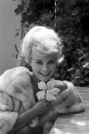 Elke Sommer195.jpg