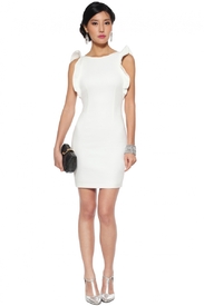 ellery-dress.6.jpg