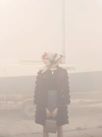 8426520.jpg