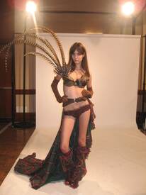 victoriassecret1662cx3.jpg