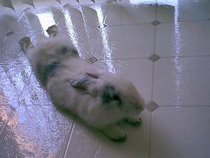 slipbunn.jpg