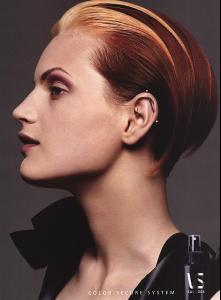 sassoon1.jpg