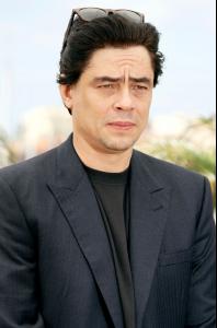 16029_BenicioDelToro_Che_Photocall_052208_122_868lo.jpg