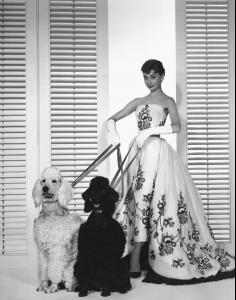 audrey___lj__hires994.jpg