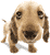 post-11221-0-1446067643-29868_thumb.gif