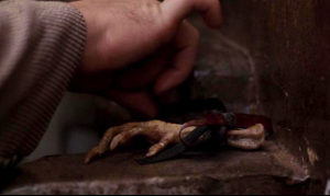 post-11221-0-1446080345-2119_thumb.png