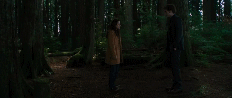 post-35528-0-1446129543-86944_thumb.gif
