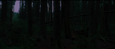 post-35528-0-1446129543-88856_thumb.gif