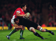 th_e6df2e55160666.gif