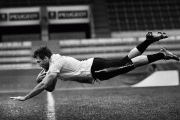 th_65cbf355277615.gif