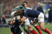th_579d4556022909.gif
