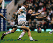th_6db4ed56077571.gif