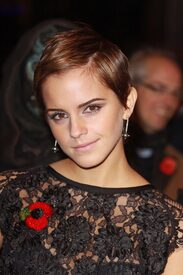 Tikipeter_Emma_Watson_Nov_11_1_017.jpg