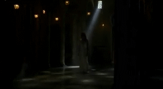 post-35528-1289527113_thumb.gif