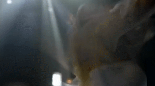 post-35528-1289527286_thumb.gif