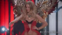 post-35528-1291084205_thumb.gif