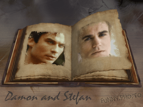 Damon-Stefan-gif-the-vampire-diaries-16990583-500-375.gif