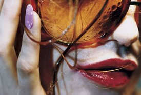 tomfordfallwinter2007collectionbymarilynminter05.jpg