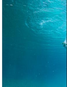Underwater_14.jpg