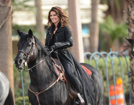 Shania_Twain_20121114_LasVegas_007.jpg