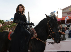 Shania_Twain_20121114_LasVegas_008.jpg