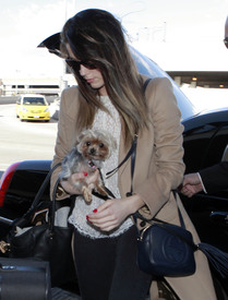 Amber Heard and her dog departing on a flight at LAX airport in Los Angeles, California on November.jpg