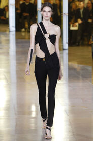 vaccarello_van2.jpg