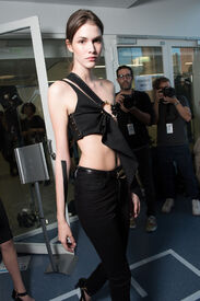 vaccarello_van5.jpg