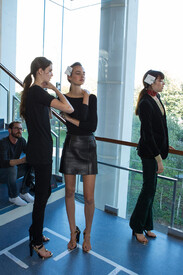 vaccarello_van6.jpg