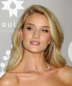 rosiehw141115BZNimage4.jpg