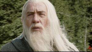 ianLOTRgandalf.jpg