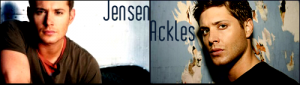 jensenbanner3.png