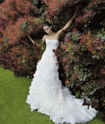 th_41fb7661415555.gif