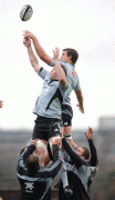 th_390a9158529915.gif