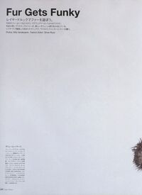 img28.jpg