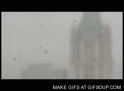 post-16808-1291753428_thumb.gif