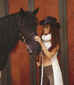 stup_photoshoot15_horse_huge.jpg
