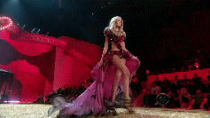 post-35528-1291438302_thumb.gif