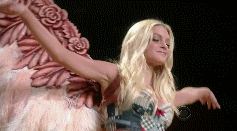 post-35528-1291524047_thumb.gif