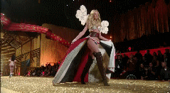 post-35528-1291524752_thumb.gif