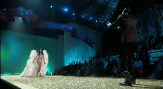 post-35528-1291528838_thumb.gif