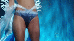post-35528-1291530170_thumb.gif