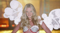 post-35528-1291531205_thumb.gif