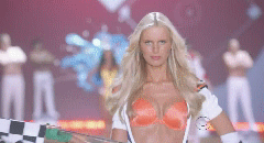 post-35528-1291532201_thumb.gif