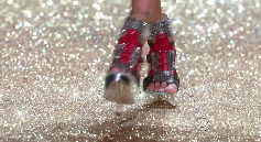 post-35528-1291532380_thumb.gif