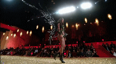 post-35528-1291533842_thumb.gif